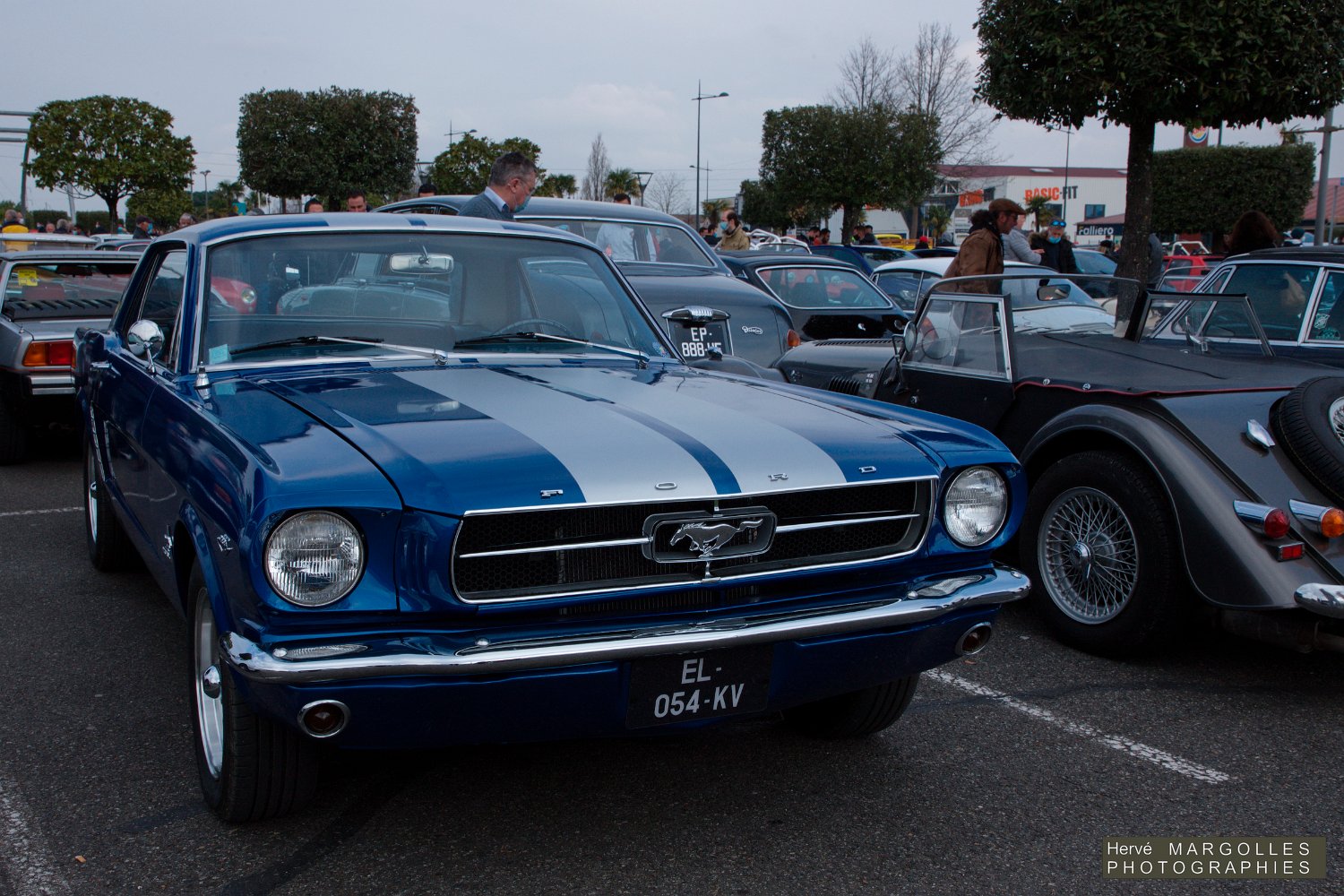 Ford Mustang-01.jpg